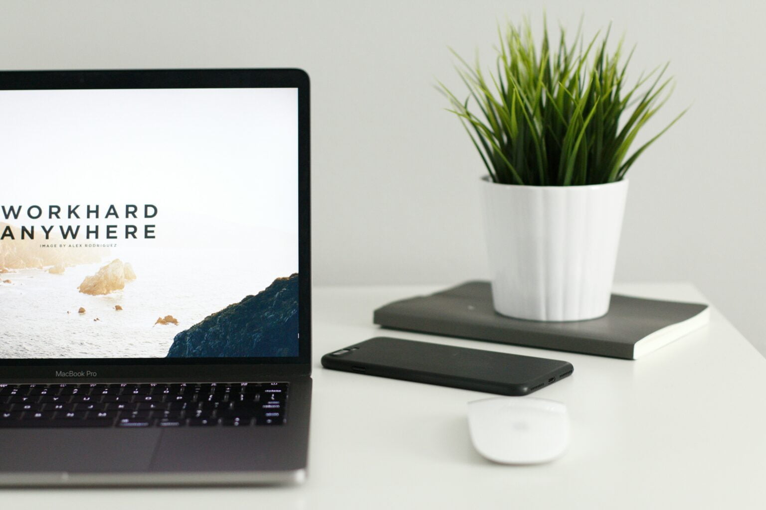 Webbutveckling i WordPress och Elementor